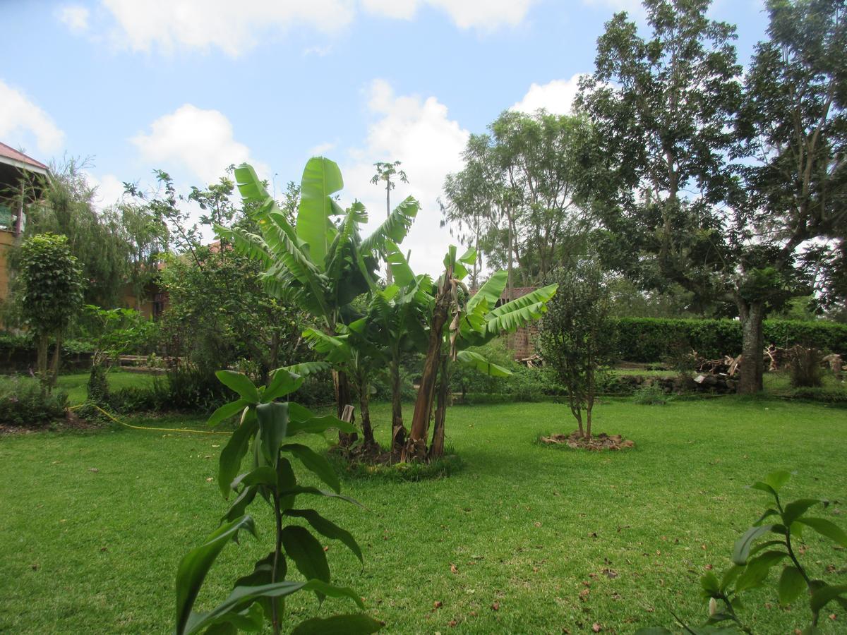 Kilimanjaro Eco Lodge Usa River Exterior photo